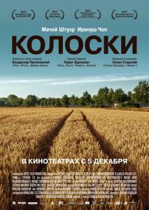 Колоски (2013)