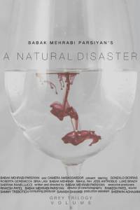 A Natural Disaster / A Natural Disaster (2016)