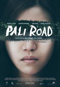   / Pali Road (2015)