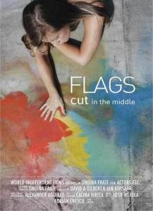    / Flags Cut in the Middle (2016)