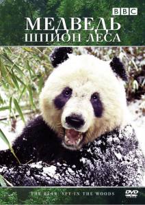 :   () / Bears: Spy in the Woods (2004)