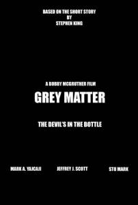 Серое вещество / Grey Matter (2016)