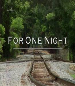     () / For One Night (2006)